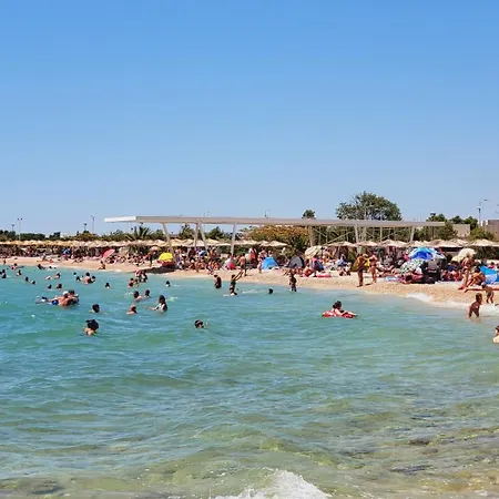 Elita * Brodarica (Sibenik-Knin)