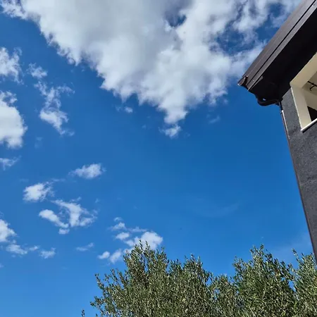 Elita * Brodarica (Sibenik-Knin)