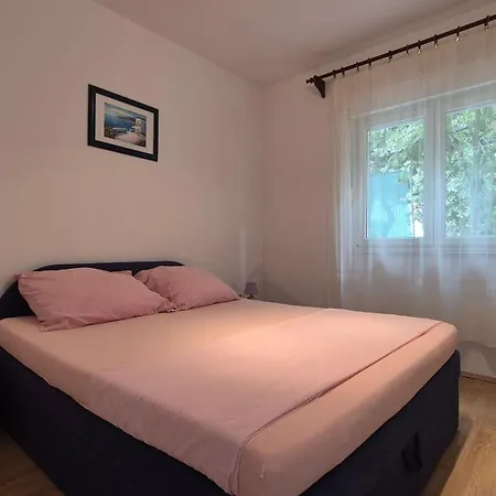 Elita Brodarica (Sibenik-Knin)