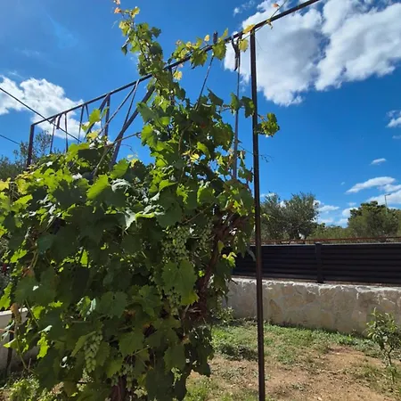 Elita * Brodarica (Sibenik-Knin)