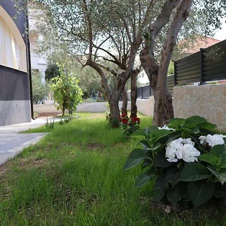 Elita * Brodarica (Sibenik-Knin)