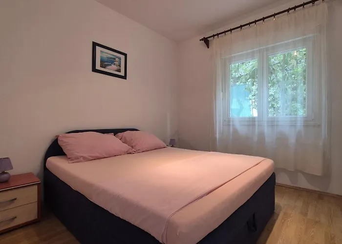 Elita Brodarica (Sibenik-Knin)