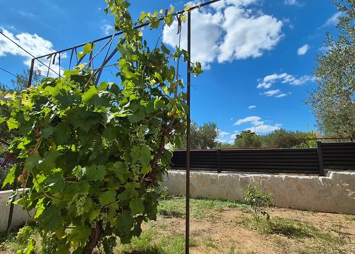 Elita Gasthuis Brodarica (Sibenik-Knin)