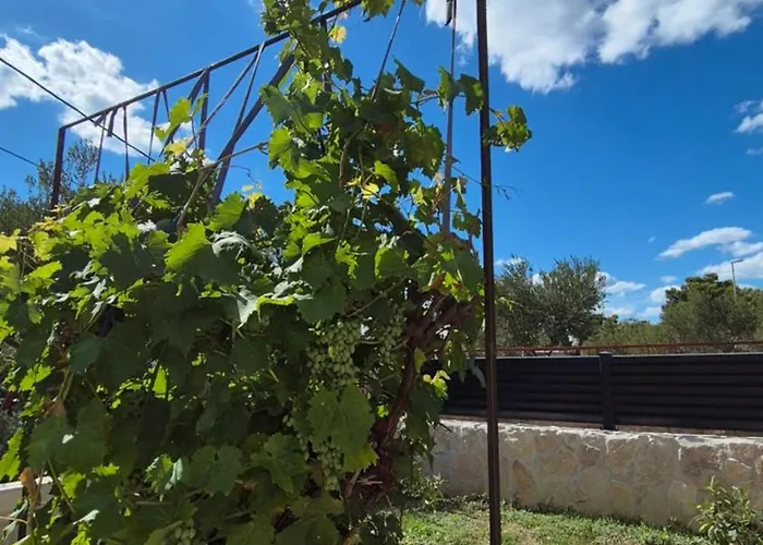 Elita * Brodarica (Sibenik-Knin)